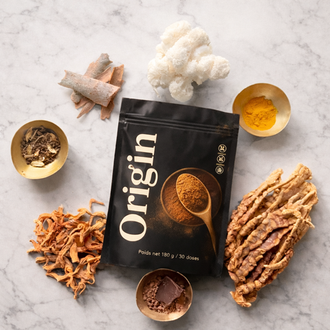 🧠 Réveil Plus Doux